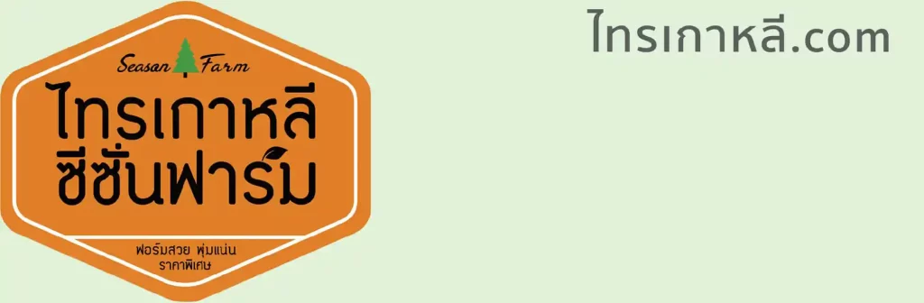 Logo ของ ไทรเกาหลี ซีซั่นฟาร์ม ปลูกไทรเกาหลี