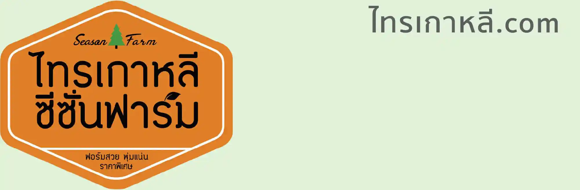 Logo ของ ไทรเกาหลี ซีซั่นฟาร์ม ปลูกไทรเกาหลี