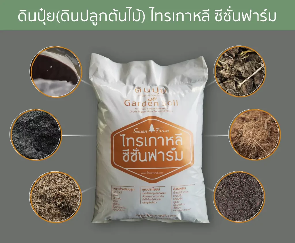 ดินปลูก/ดินปุ๋ย สำหรับไทรเกาหลี จากไทรเกาหลี ซีซั่นฟาร์ม