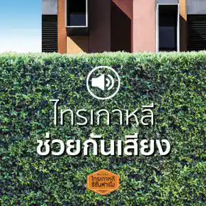 ไทรเกาหลีทำรั้วต้นไม้ ช่วยกันเสียง