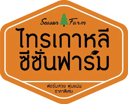 ฟาร์มใหญ่ ปลูกไทรเกาหลี ทำรั้วกำแพงต้นไม้