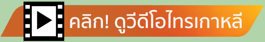 คลิป วีดิโอน่ารู้ เกี่ยวกับ ไทรเกาหลี