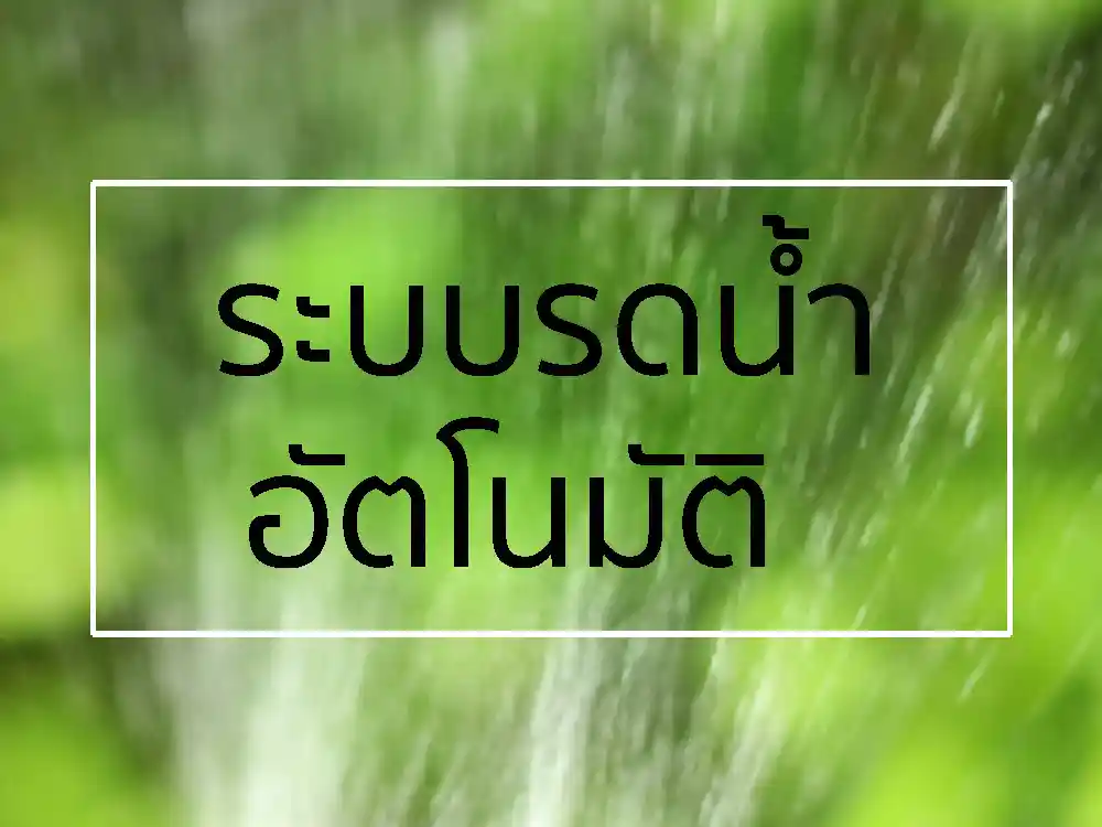 ไทรเกาหลี ระบบรดน้ำอัติโนมัติ