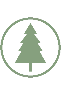 ต้นไทรเกาหลี กราฟิค